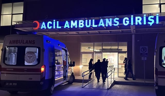 Şanlıurfa’da korkunç olay: Kardeşini silahla öldürdü