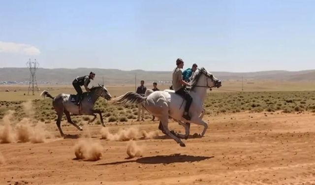 Bingöl’de at yarışları için geri sayım başladı