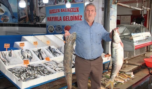 Batman’da balık tezgâhlarında ilk hareketlilik