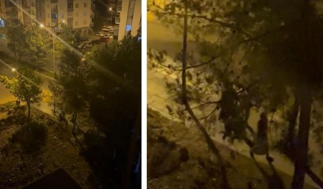 Diyarbakır'da acı olay; Annenin feryadı yürekleri dağladı