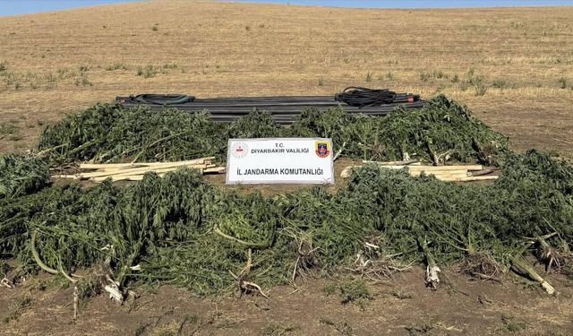 Diyarbakır’da uyuşturucuya büyük darbe: Tonlarca madde ele geçirildi