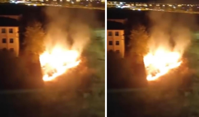 Diyarbakır'da düğünde atılan havai fişekler yangına neden oldu