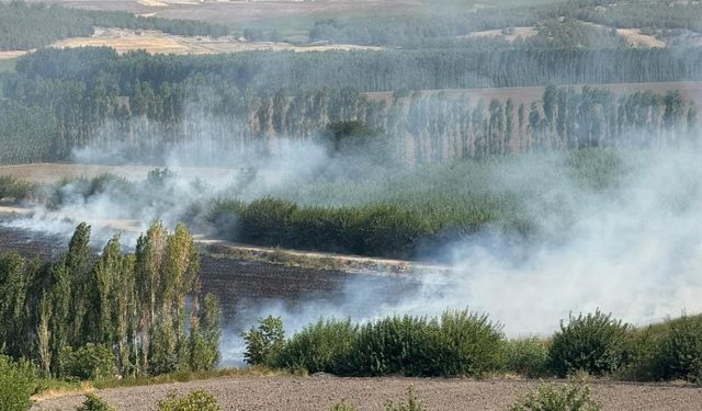 Diyarbakır’da UNESCO mirası Hevsel Bahçeleri duman altında
