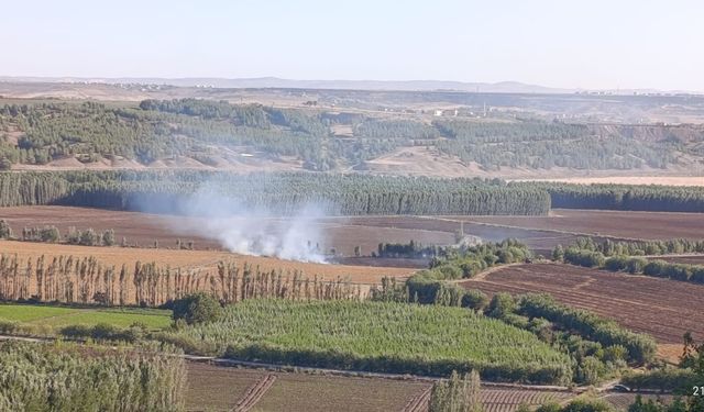 UNESCO Mirası Hevsel Bahçeleri'nde yangın