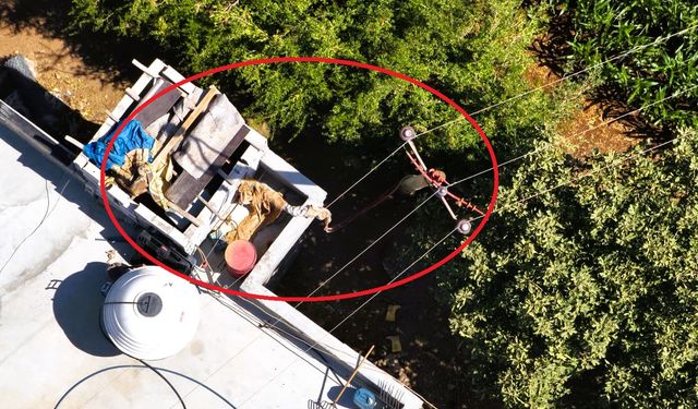 200 dönümlük mısır tarlası kaçak elektrikle sulandı