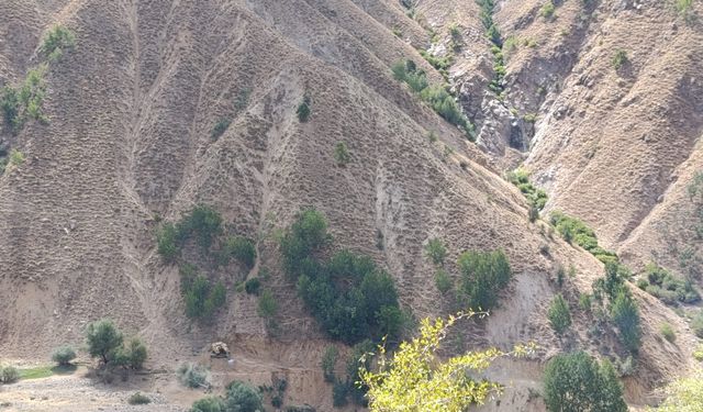 Bingöl’ün maneviyat deryası: Seyyid Şeyh Muhammed Mamedi