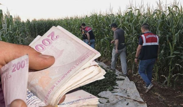 Diyarbakır’da  dehşete düşüren iddia; Uyuşturucu ticaretine rüşvetle göz yumuldu!