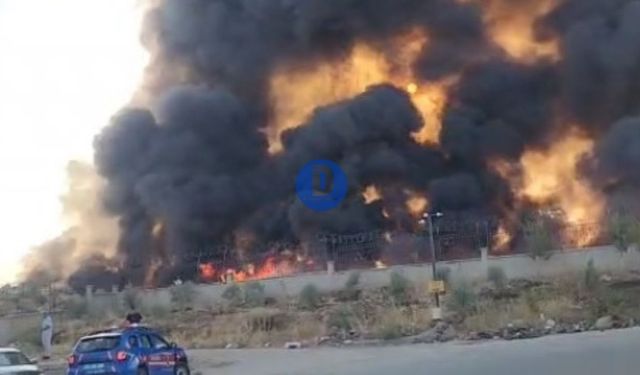 Diyarbakır'da korkutan yangın; Önce TOMA müdahale etti