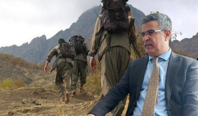 Diyarbakır Barosu Başkanı Güleç: PKK yöneticileri de affa dahil edilmeli