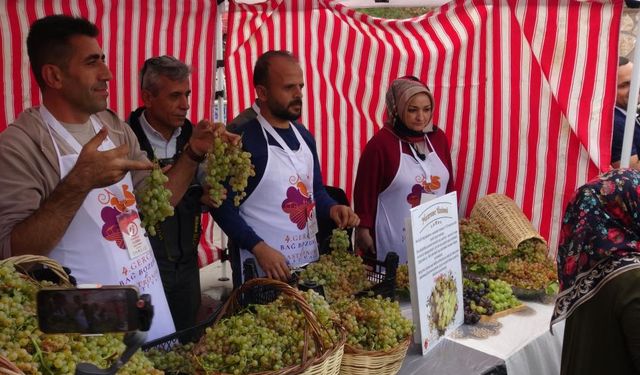 Batman’da Bağ Bozumu ve Gastronomi Festivali