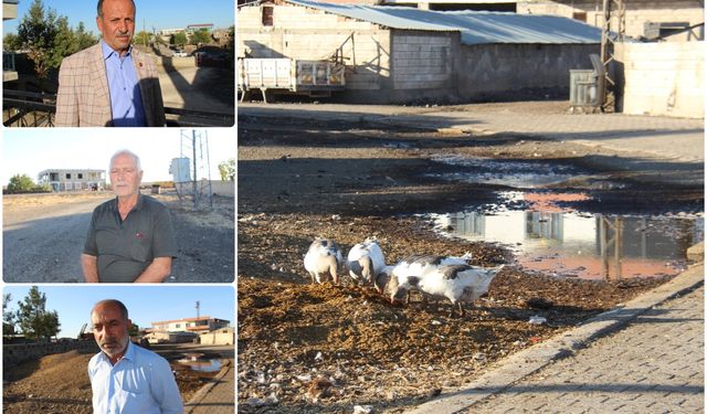 Diyarbakır’da Bulutçeker Mahallesi İsyanda