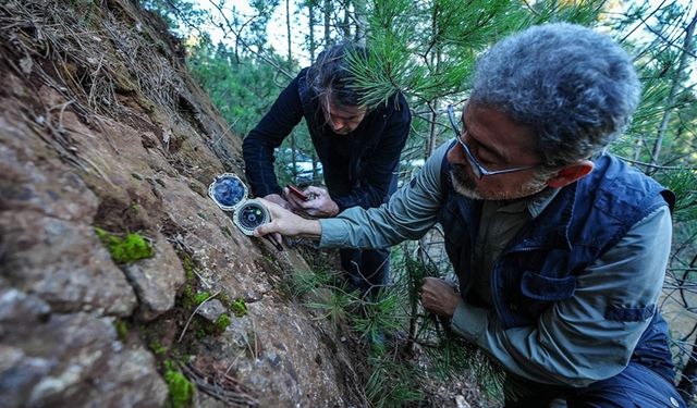 AFAD uyardı: Sındırgı’da “ölü faylar” canlandı, deprem riski artıyor