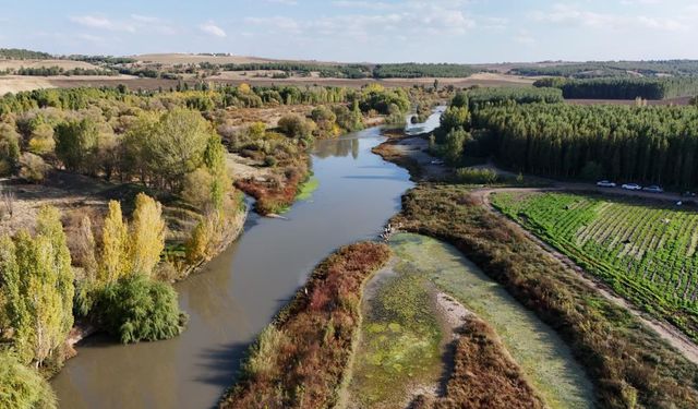 Diyarbakır’da Dicle Nehri’nin 100 kilometrelik bölümü “nehir” statüsünde değil