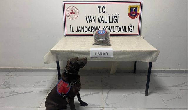 Hakkari'de kubar esrar ele geçirildi