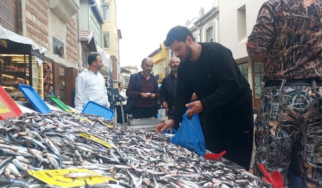 Kilosu 50 liraya düşen hamsiyi poşet poşet aldılar