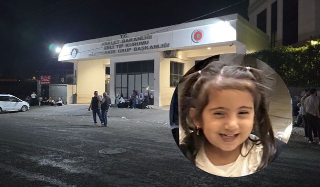 Yazar ailesinin acı günü; Minik Lina hayatını kaybetti
