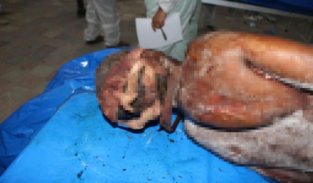 Filistinlilerin cenazelerinde işkence izleri