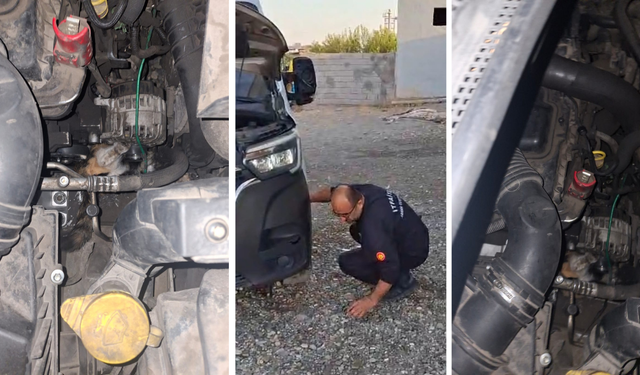 Diyarbakır’da minibüsün motoruna sıkışan yavru kedi kurtarıldı