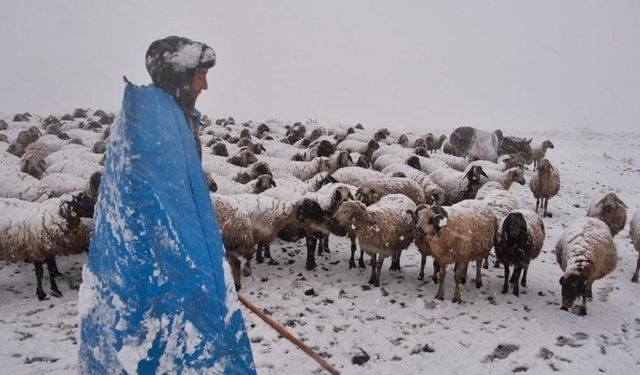 Göçerler kara yaylada yakalandı
