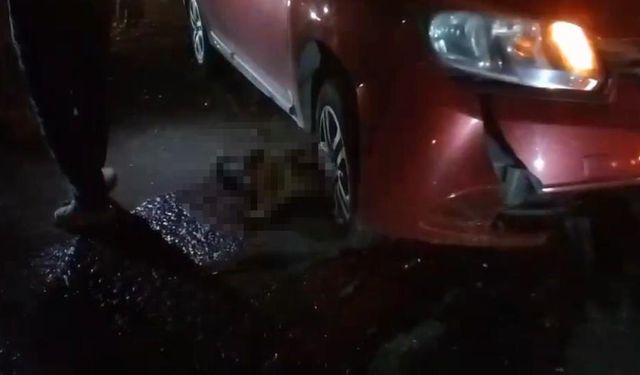 Diyarbakır da yolda doğum yapan manda, yavrusuyla otomobil altında kaldı