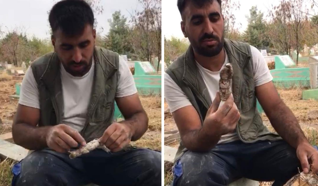 Diyarbakır’da mezarlıktan kefenlenmiş oyuncak bebek çıktı