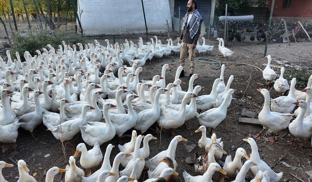 Beslediği kanatlılarla kurduğu bağ görenleri gülümsetiyor