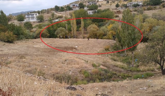 Diyarbakır'da, ağaçlık alanda erkek cesedi bulundu