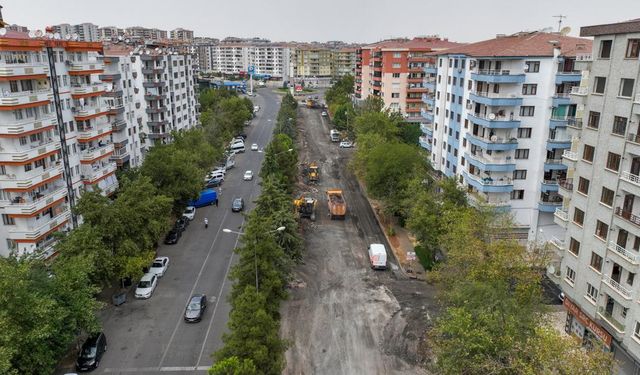 Diyarbakır’da 20 yıllık ağaçlar yol yapımına kurban mı gitti?