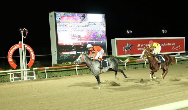 Eğil Belediye Başkanlığı koşusunda birincilik Arap atının
