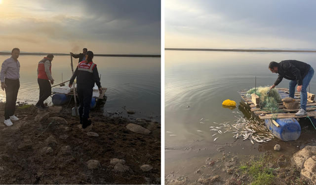 Diyarbakır’da baraj gölünde kaçak avcılara baskın