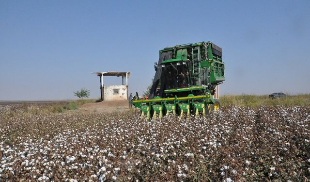 Çitçiler destek bekliyor