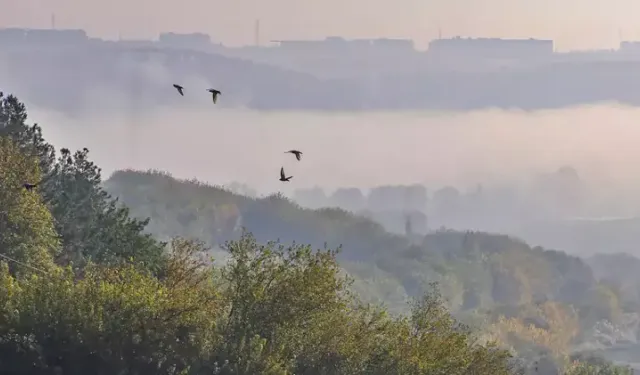 Diyarbakır’ın tarihi ve doğası sisle birleşti
