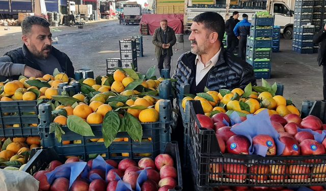 Diyarbakır’da sonbaharın favorisi meyvesi belli oldu