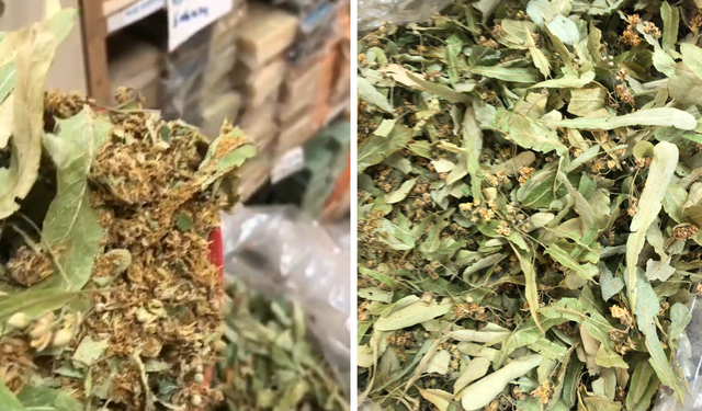 Diyarbakır’da Ihlamur altınla yarışıyor: Kilosu 4 bin lira!