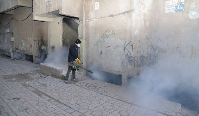 Diyarbakır’da haşerelere karşı kışlak ilaçlama başladı