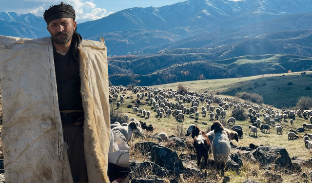 Diyarbakır’da koçerlerin yoğun göç hareketliliği