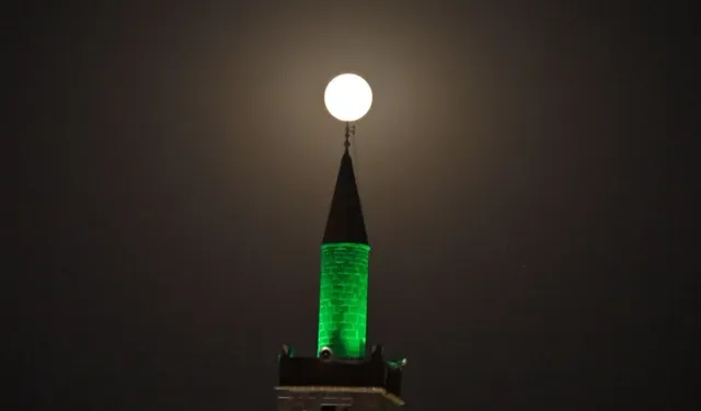 Diyarbakır’da ‘Kunduz ayı’ kartpostallık görüntüler oluşturdu