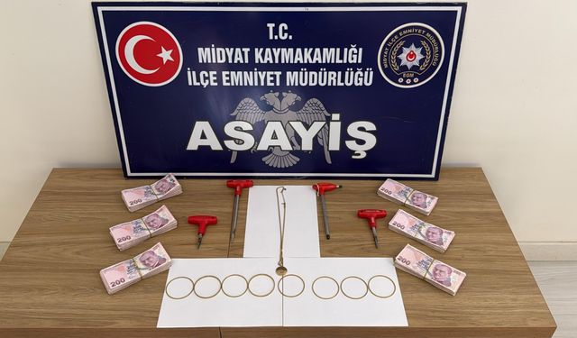 Mardin’de ev hırsızlıklarına yönelik eş zamanlı operasyon