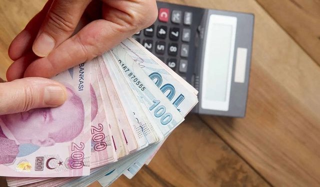 Bakan Duyurdu: Engelli ve eski hükümlülere dev hibe desteği başladı!