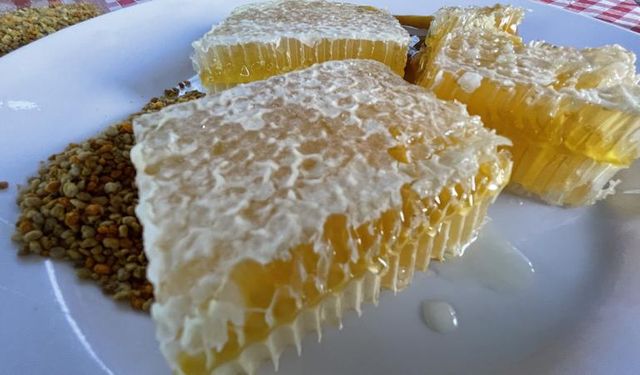 Türkiye’nin AB tescilli coğrafi işaret sayısı 43’e yükseldi