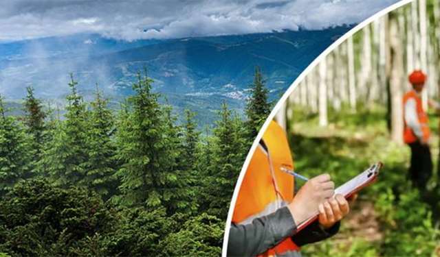 Orman Genel Müdürlüğü 496 personel alacak