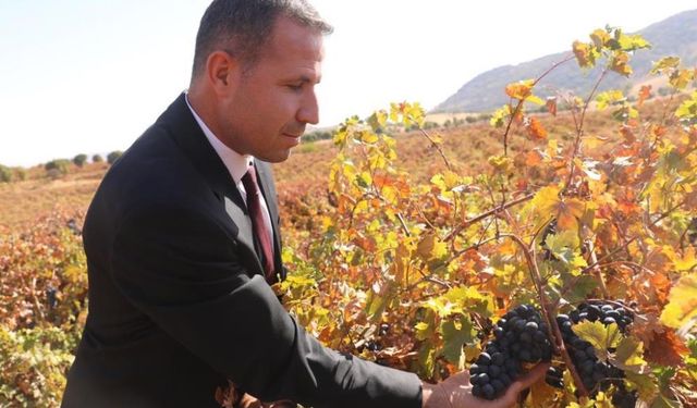 Diyarbakır’da modern bağcılık için hibe başvuruları açıldı