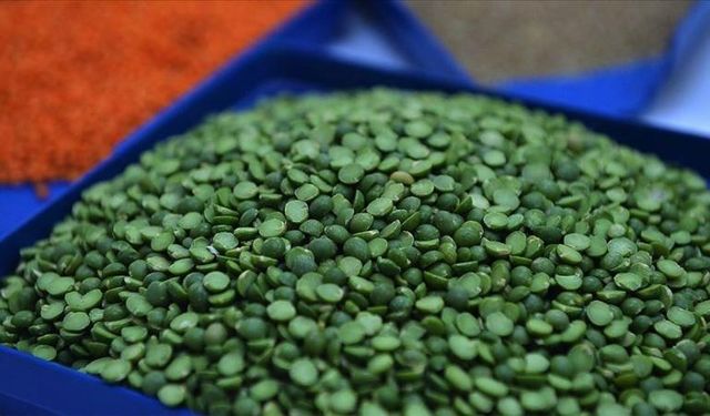 Yeşil mercimek ve yulaf ithalatında gümrük vergileri düşürüldü