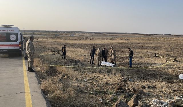 Siverek’te yol kenarında ceset bulundu