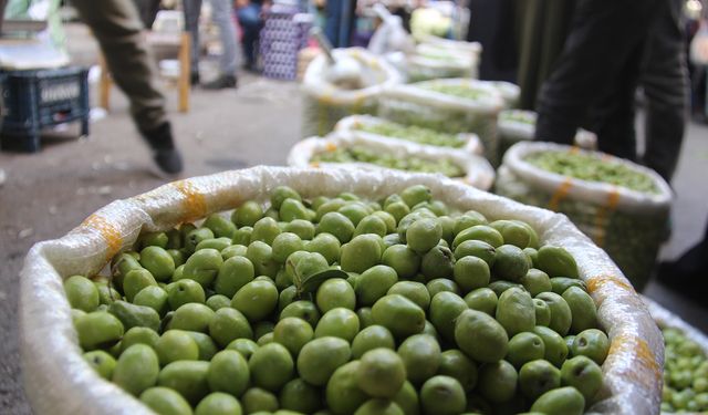 Diyarbakır’da yeşil zeytin zamma doymuyor