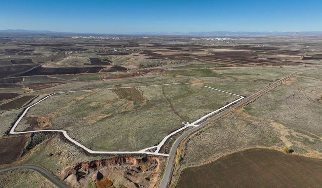Diyarbakır’da sokak hayvanları için devrim gibi proje