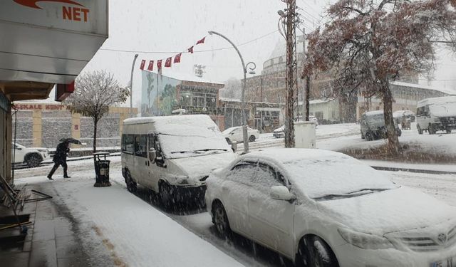 Başkale’de kar yağışı etkili oldu