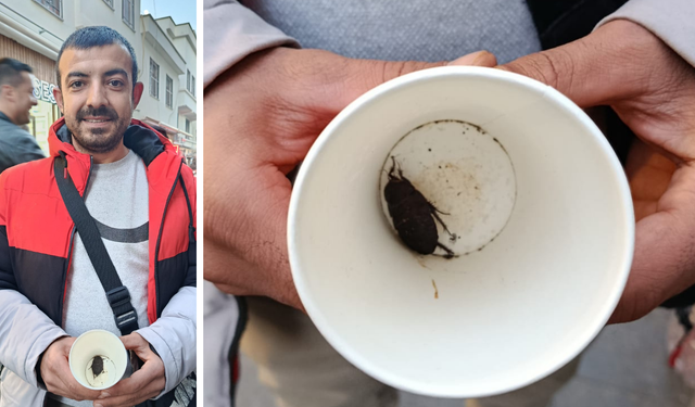 Diyarbakır’da şaşırtan böcek! Güney Amerika türü Sur’da ortaya çıktı