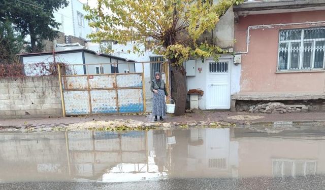 Şiddetli yağış taşkına yol açtı: Cadde suları evlere doldu