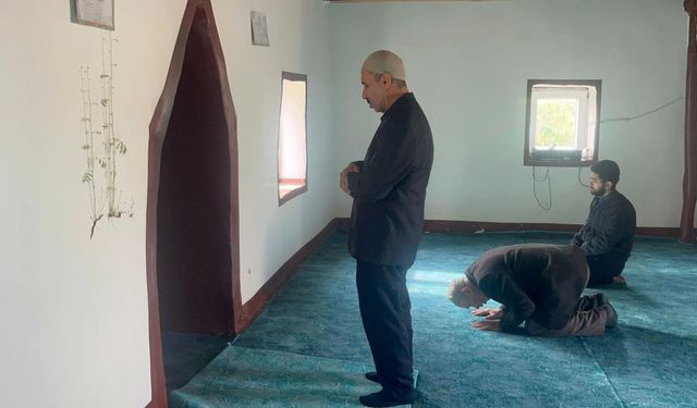 Diyarbakır’da mucize görüntü: Cami duvarından bitki filizlendi